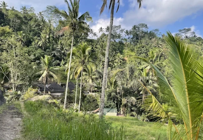 bali rêve
