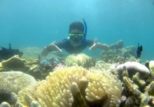 bangsring underwater