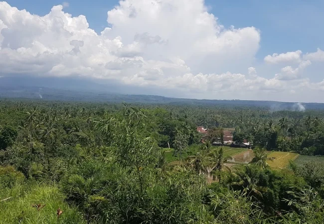 bukit mondoleko