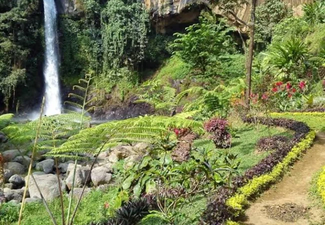 coban jahe