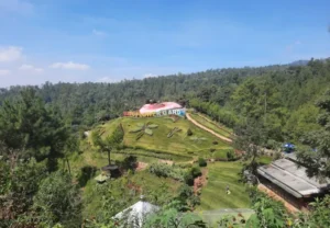 coban rais