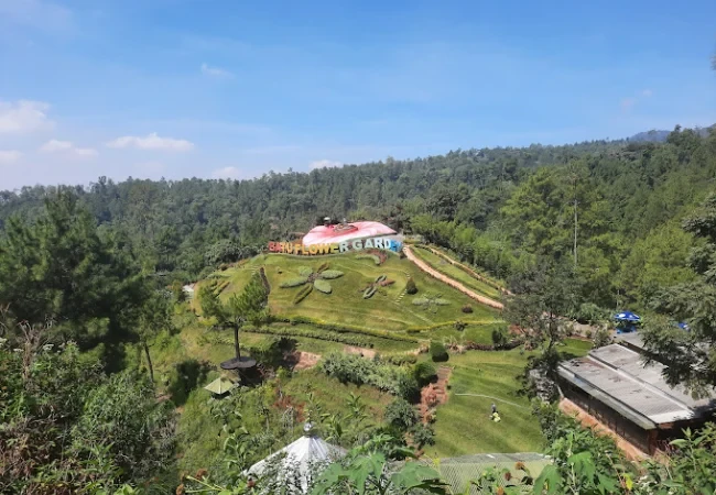 coban rais