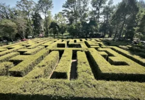 coban rondo