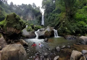 coban talun