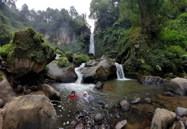 coban talun
