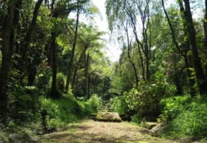 desa sumber brantas