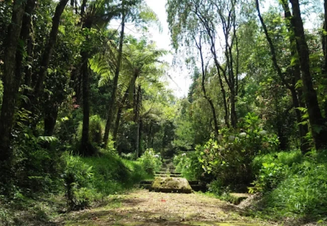 desa sumber brantas
