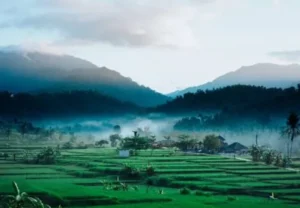 desa wisata batuagung