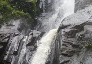 desa wisata carangsari