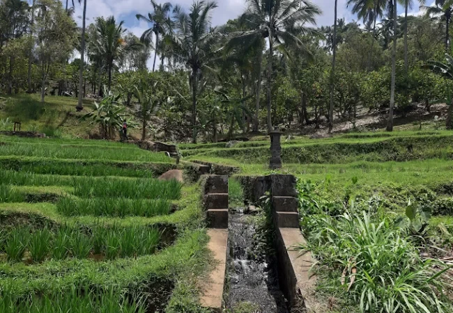 desa wisata gunung salak