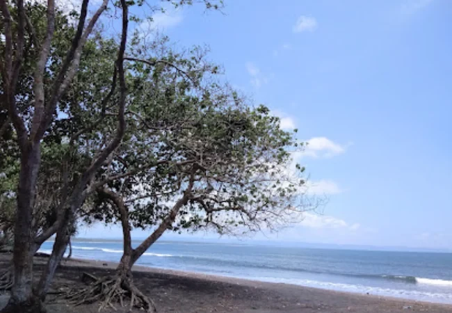 pantai grajagan
