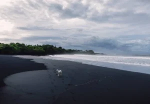 pantai medewi