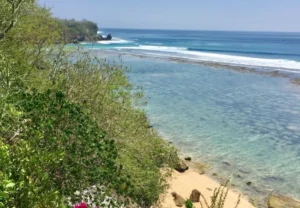 pantai pemutih