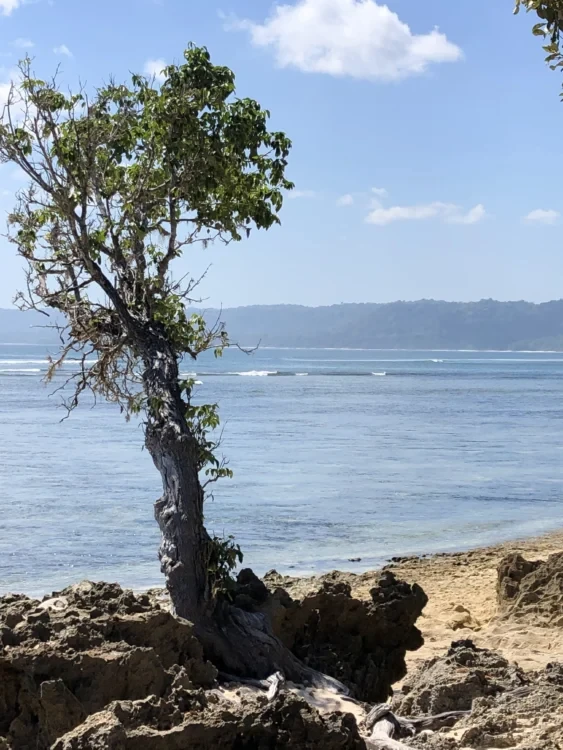 Pantai Plengkung