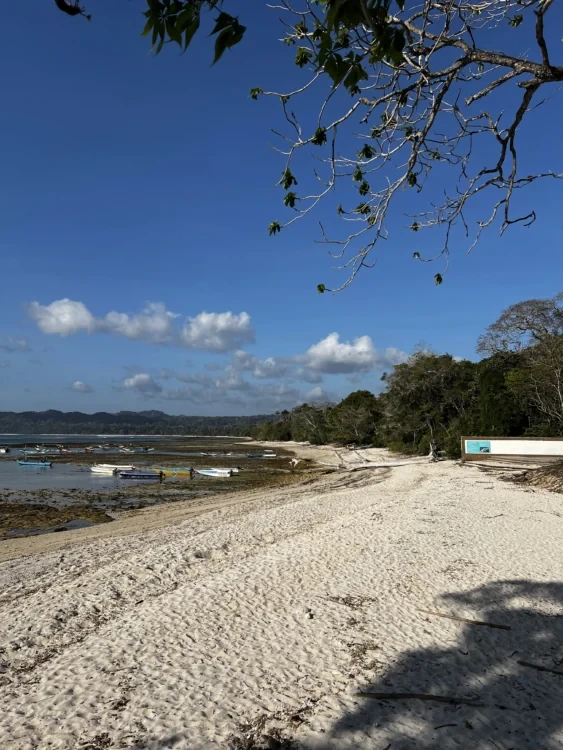 pantai plengkung 3
