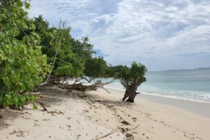 Pantai Plengkung