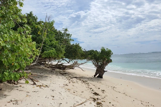 Pantai Plengkung