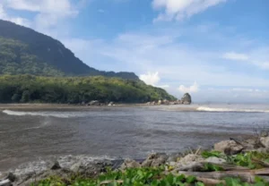 pantai puger