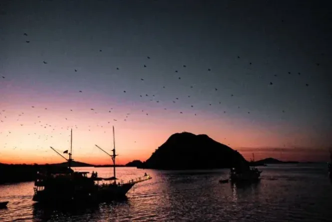 pulau kalong