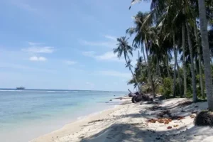 pulau karang
