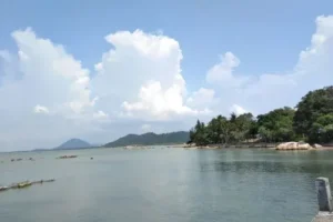 pulau simping
