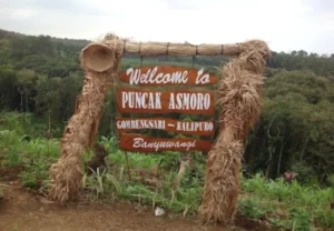 puncak asmoro