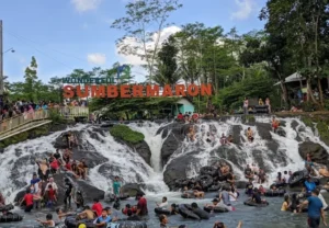 sumber maron