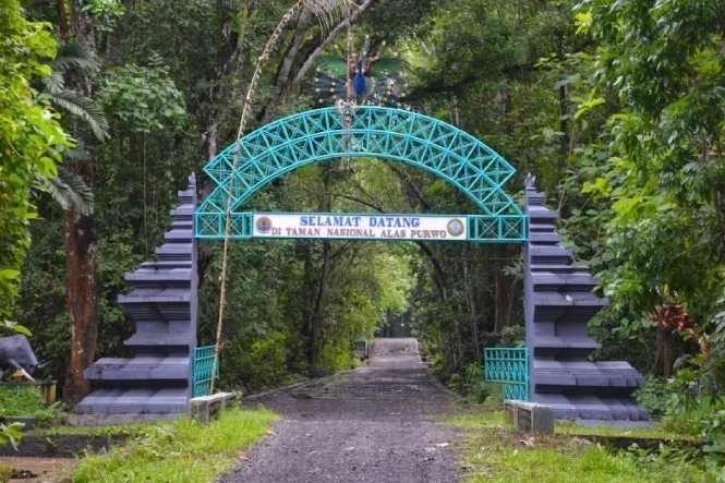 taman nasional alas purwo 2