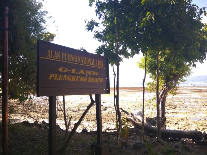 Taman Nasional Alas Purwo