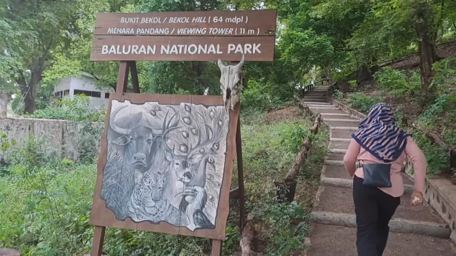 taman nasional baluran 2