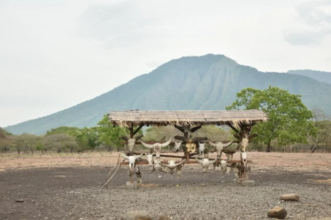 taman nasional baluran 3