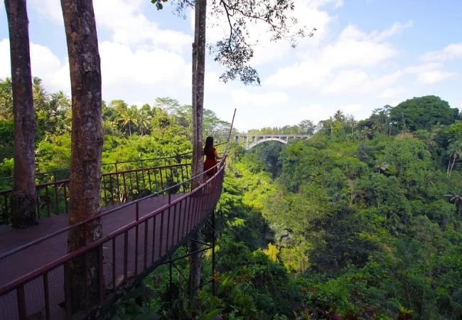 tanah wuk sangeh badung