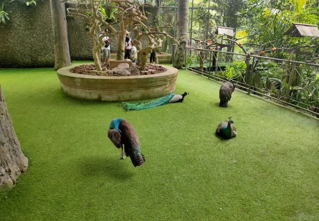tasta zoo