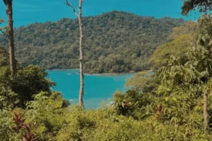 teluk hijau
