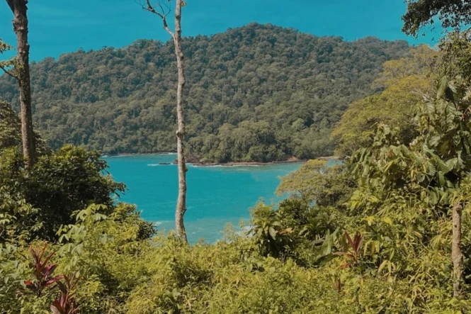 teluk hijau