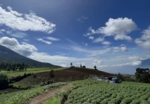 wisata alam brakseng