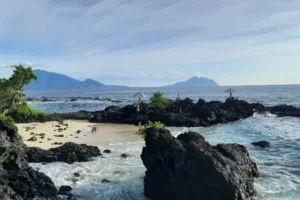 pulau adonara