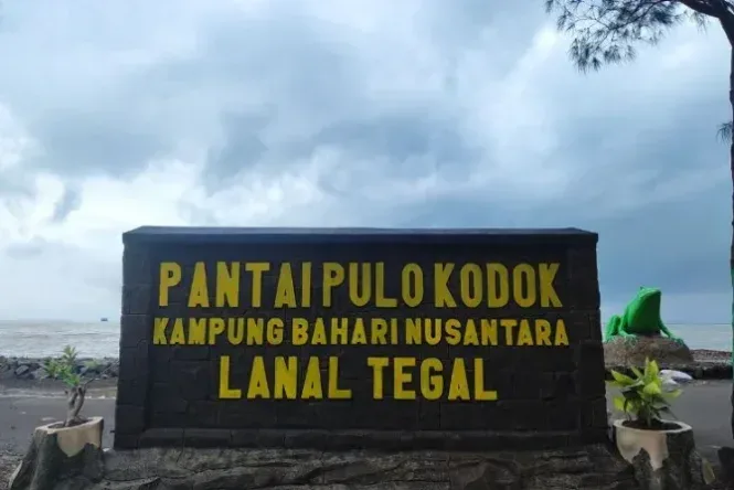 pulau kodok