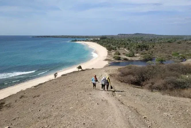 pulau semau