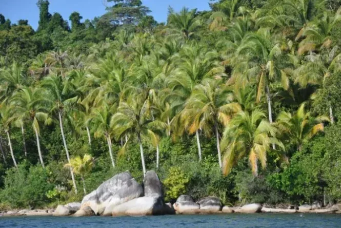 pulau temajo