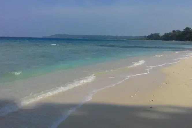 pulau baru