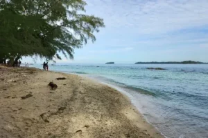 pulau bulat