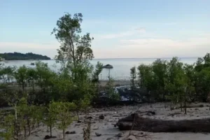 pulau kundur