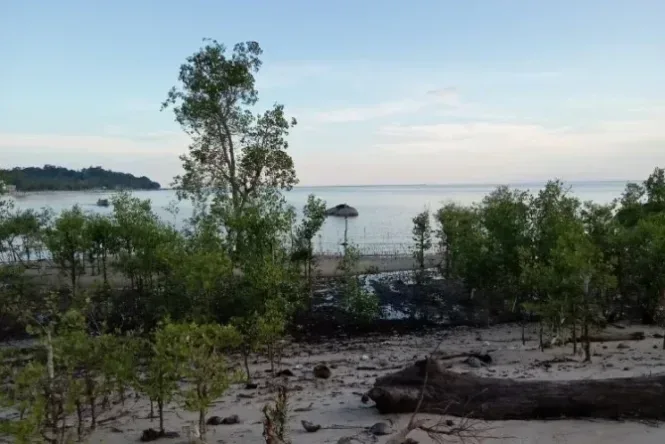 pulau kundur