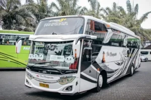 sewa bus pariwisata depok