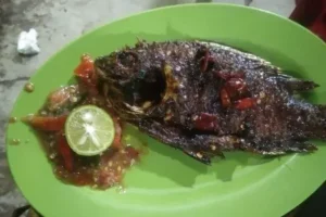 makanan khas tulang bawang