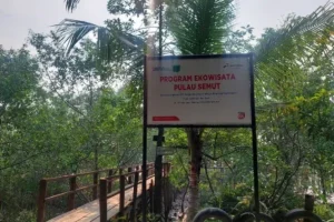 pulau semut