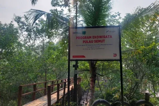pulau semut
