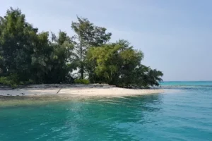 pulau air