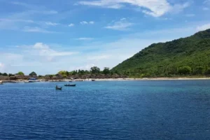 pulau babi